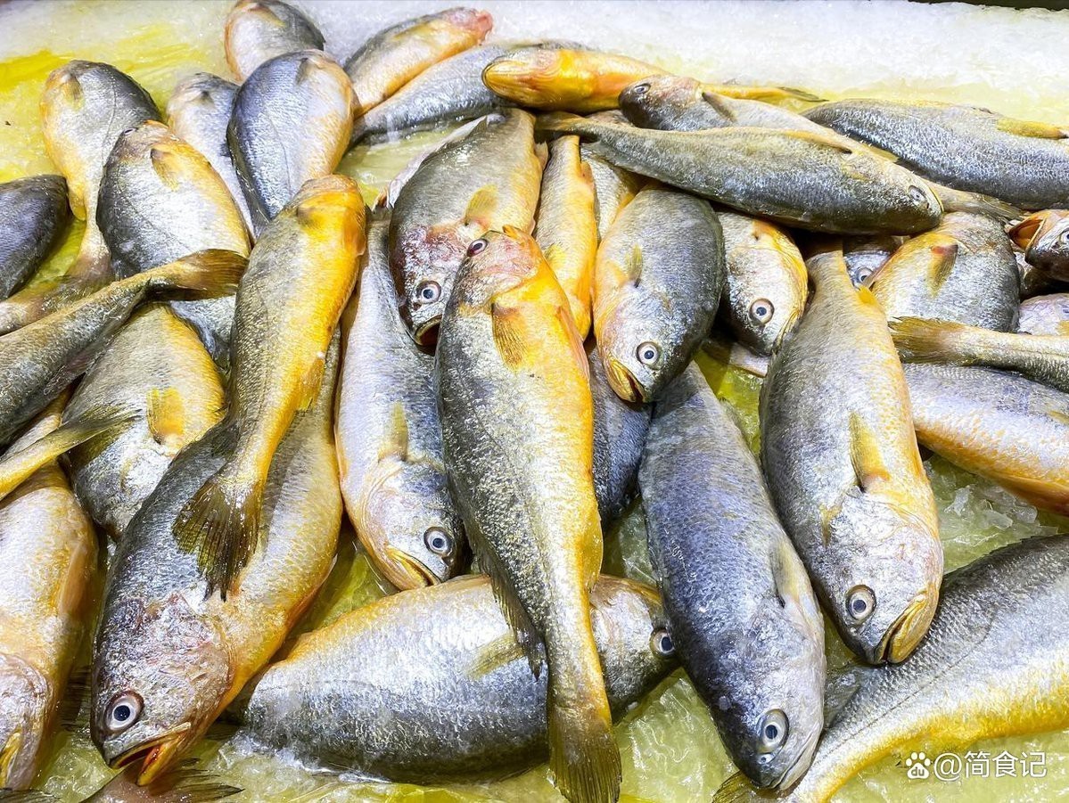 9條魚死了一條剩下8條魚好嗎【9條魚死了一條剩下8條好嗎？】