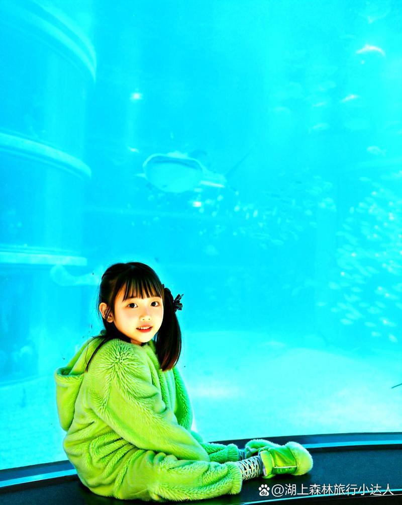 保山水族店【保山市騰越鎮鑫溪水族店2018年10月25日打卡】