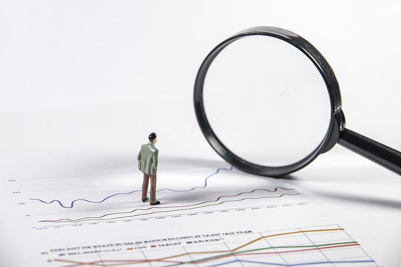 皇家火箭魚最正宗的魚【皇家火箭魚——黃火箭魚】