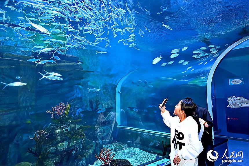 九江縣水族店【5月1日九江海底世界、大中路歷史文化街區“歡樂亮相”】