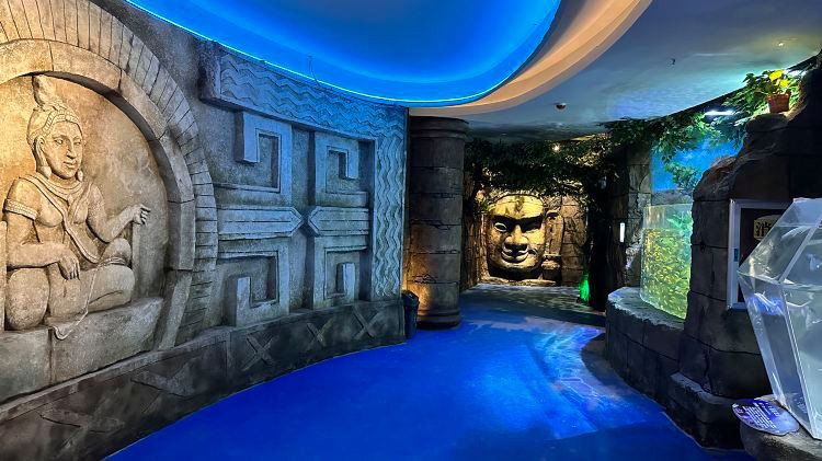 九江縣水族店【5月1日九江海底世界、大中路歷史文化街區“歡樂亮相”】