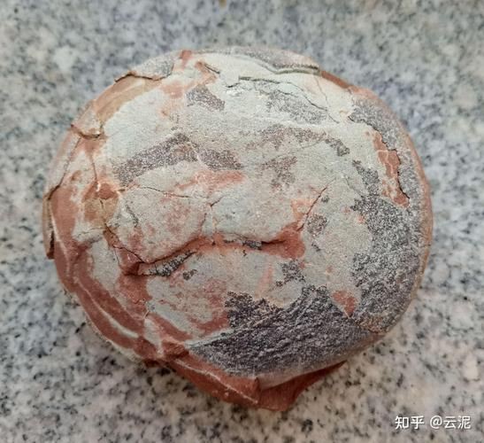 恐龍蛋100萬以上圖片【世界上最珍貴的品種—恐龍蛋化石在江西亮相】