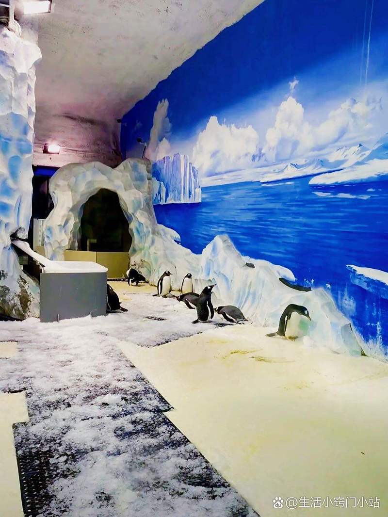 徐州鼓樓水族店【徐州鼓樓區水族店分布廣泛且各具特色且各具特色】