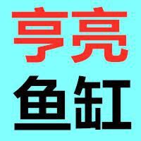 徐州鼓樓水族店【徐州鼓樓區水族店分布廣泛且各具特色且各具特色】