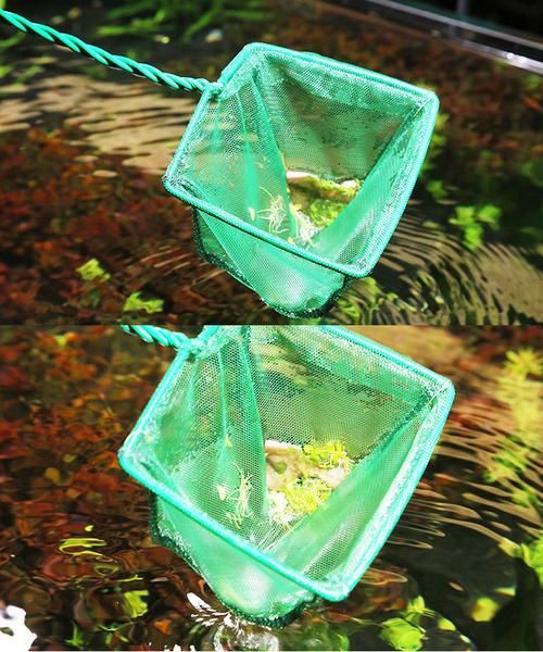 撈魚網(wǎng)兜圖片【《撈魚網(wǎng)兜圖片》】