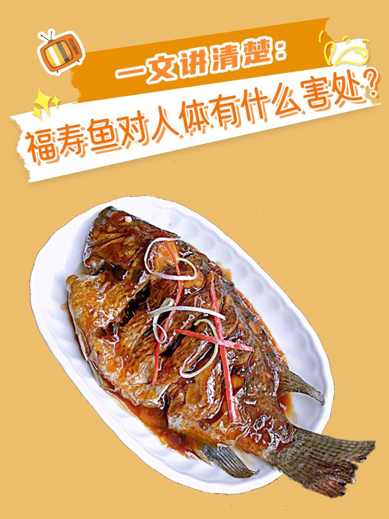 福壽魚(yú)吃了不健康嗎【博禾醫(yī)生吃福壽魚(yú)的好處和壞處有哪些福壽魚(yú)對(duì)人體有害嗎】