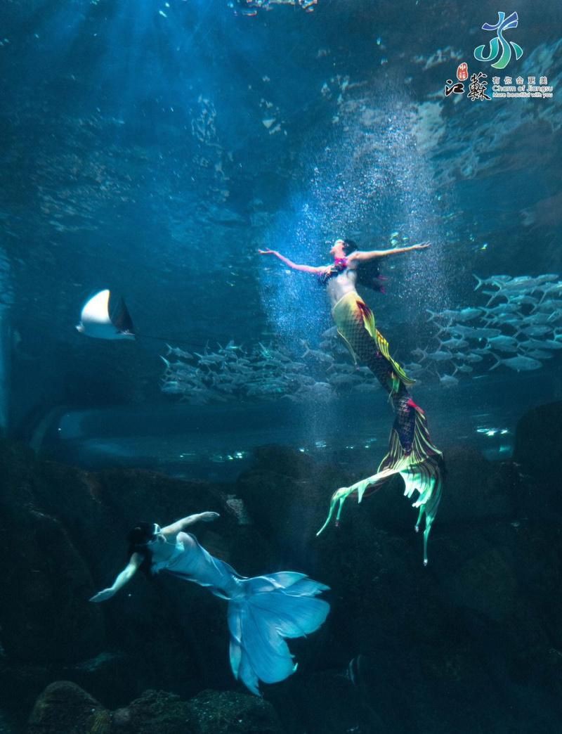 淮安水族店【關于“淮安水族店”的介紹】