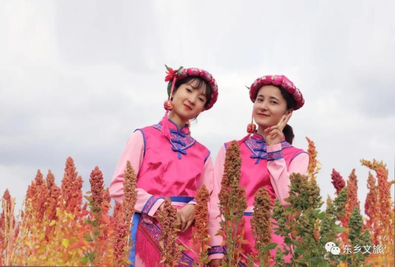 東鄉(xiāng)族龍魚(yú)店【東鄉(xiāng)縣有龍魚(yú)店嗎？】