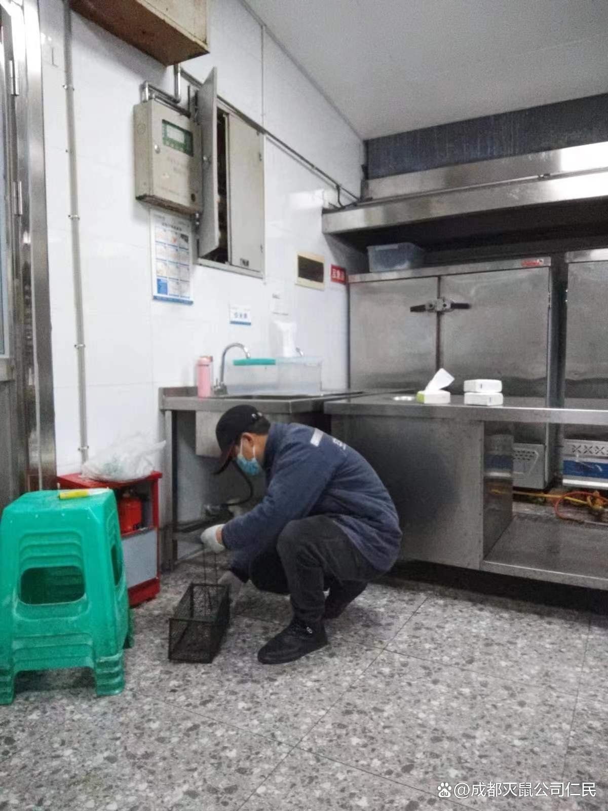 滅鼠公司收費明細【《滅鼠公司收費明細》】 龍魚百科 第2張 滅鼠公司收費明細【《滅鼠公司收費明細》】 滅鼠公司收費明細【《滅鼠公司收費明細》】 龍魚百科 第2張