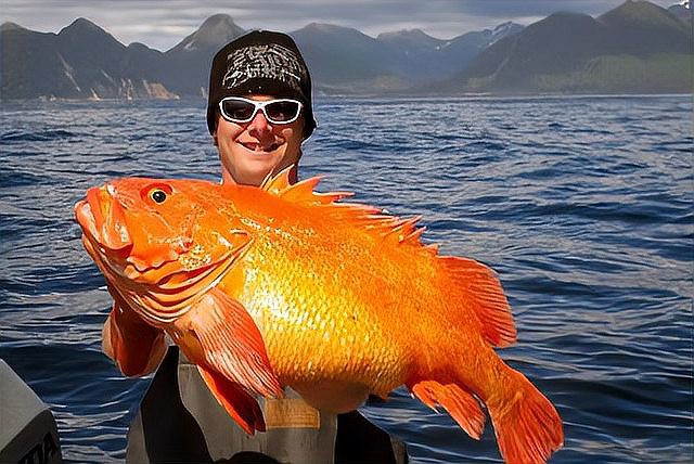 世界上壽命最長的魚排名【世界上壽命最長壽的魚類展現出驚人的生命力與適應力】