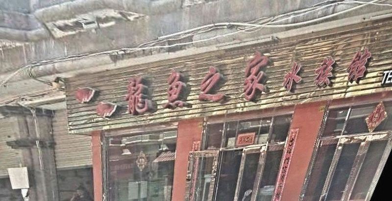 晉江龍魚店【晉江市施純龍魚攤】