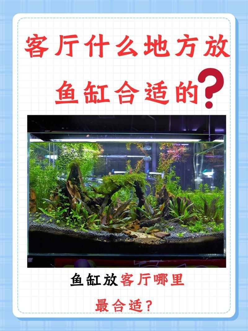 魚缸在客廳的最佳位置示意圖【《魚缸在客廳的最佳位置示意圖》】 龍魚百科 第10張 魚缸在客廳的最佳位置示意圖【《魚缸在客廳的最佳位置示意圖》】 魚缸在客廳的最佳位置示意圖【《魚缸在客廳的最佳位置示意圖》】 龍魚百科 第10張