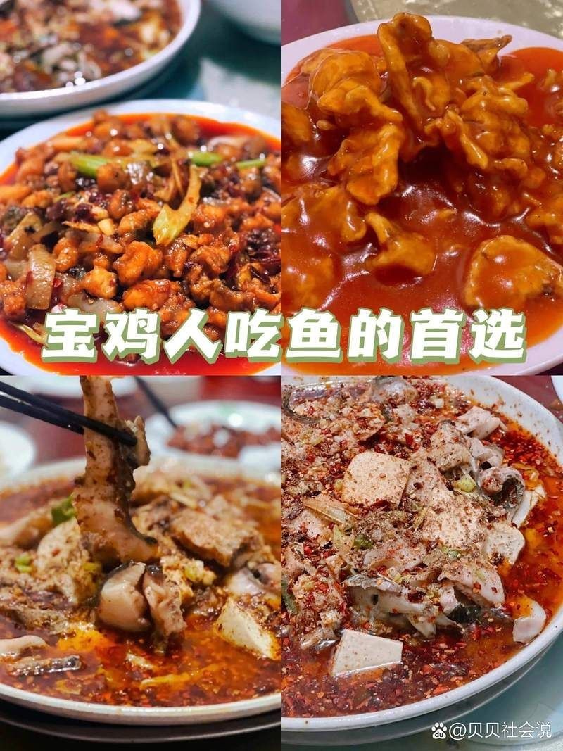 寶雞龍魚店【寶雞的龍魚店以特色魚類美食吸引眾多食客其中曙光路的老店備受推崇】 寶雞龍魚店【寶雞的龍魚店以特色魚類美食吸引眾多食客其中曙光路的老店備受推崇】 全國水族館企業名錄 第1張
