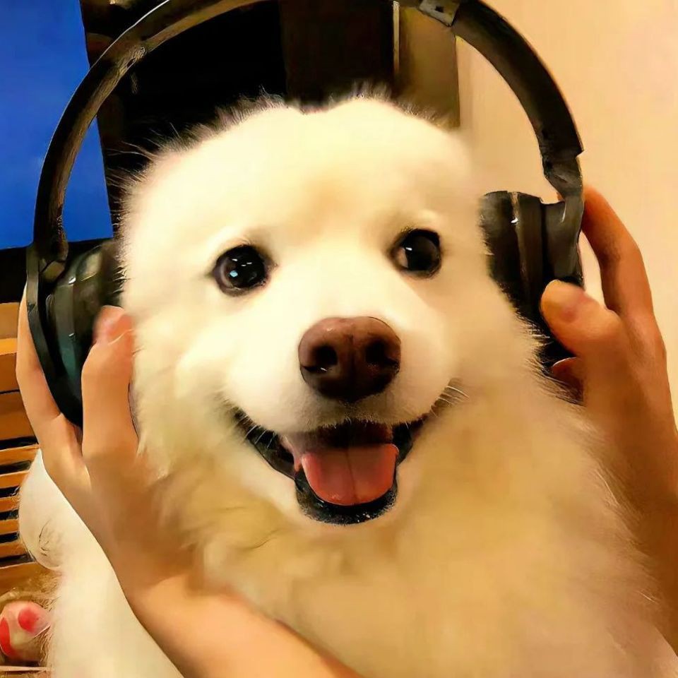 寶雞龍魚店【寶雞的龍魚店以特色魚類美食吸引眾多食客其中曙光路的老店備受推崇】 寶雞龍魚店【寶雞的龍魚店以特色魚類美食吸引眾多食客其中曙光路的老店備受推崇】 全國水族館企業名錄 第7張