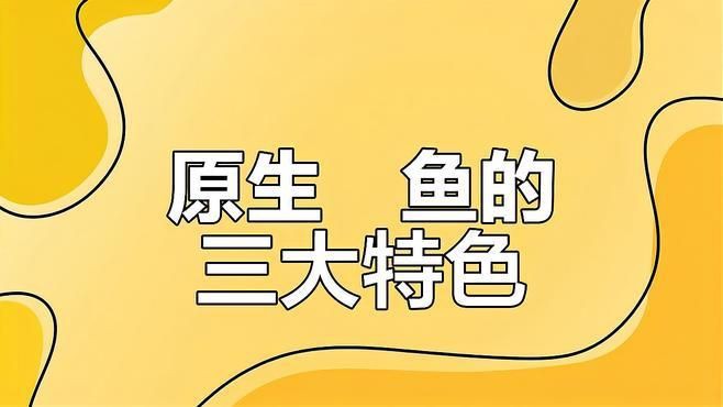 鱲魚有幾種【養魚的小李鱲魚甜甜莓莓醬溪流三兄弟大揭秘】