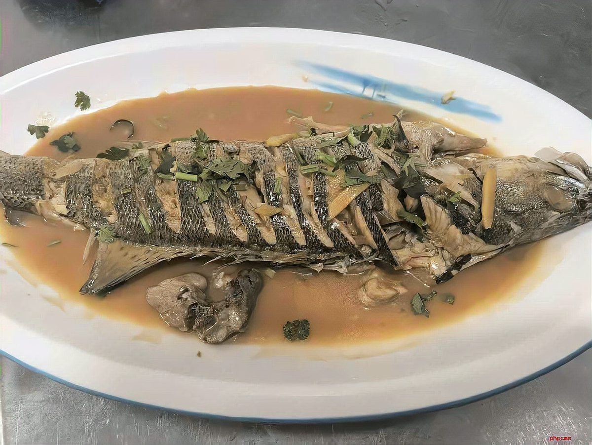 嶗山龍魚店【青島嶗山區龍魚店龍繼斑魚莊包廂費用是多少】