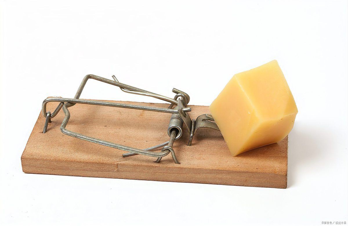 滅鼠最狠的10個(gè)絕招【號(hào)稱“最狠”的10個(gè)滅鼠絕招】