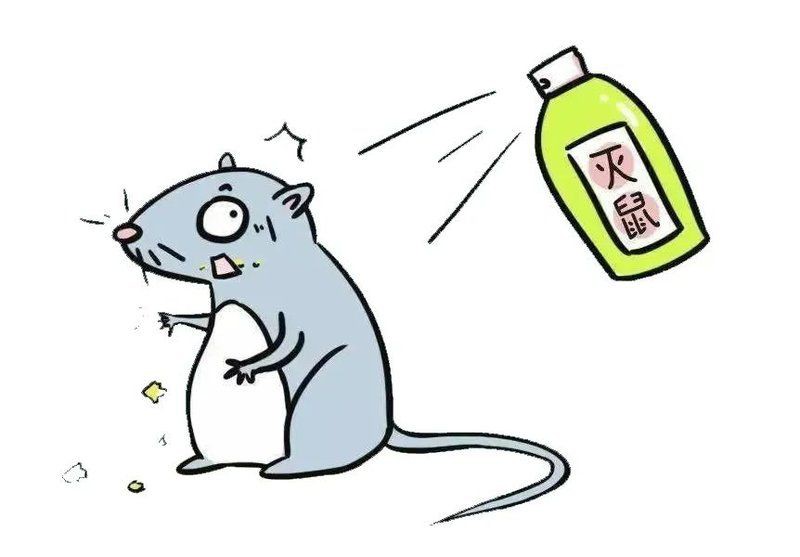 滅鼠最狠的10個絕招【號稱“最狠”的10個滅鼠絕招】