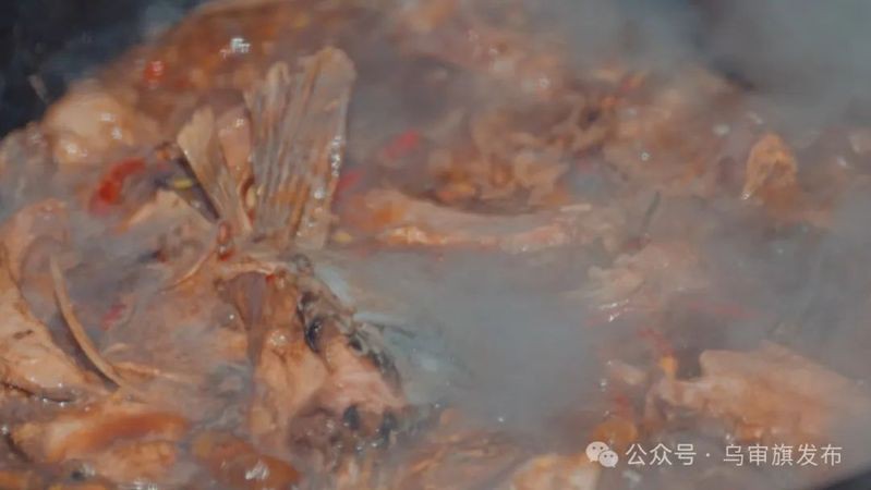 烏審龍魚(yú)店【烏審龍魚(yú)店在哪里】