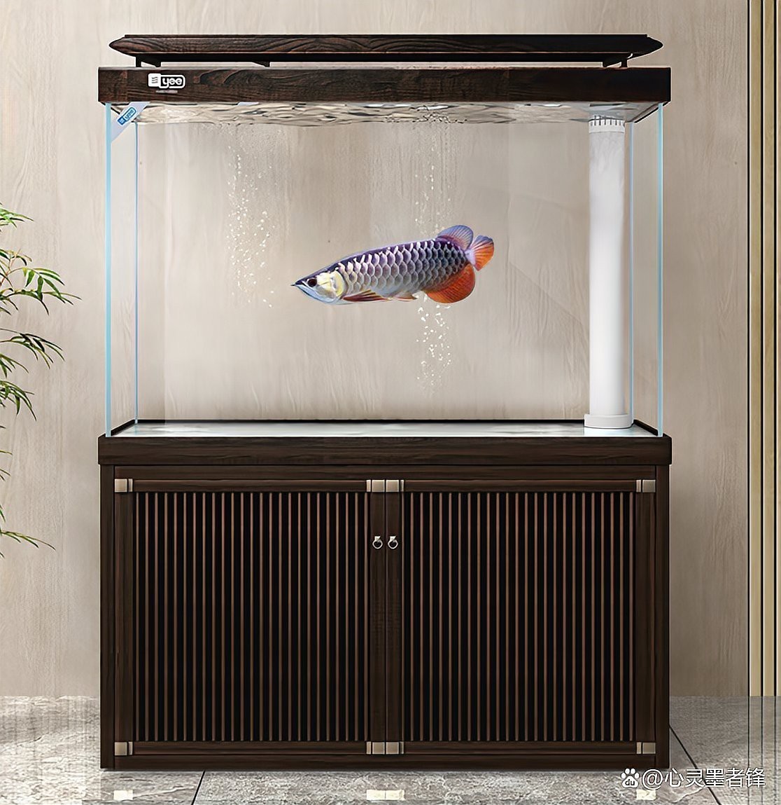 世界十大名牌水族用品【世界十大名牌水族品牌排名】