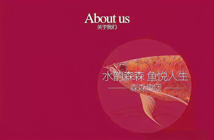 世界十大名牌水族用品【世界十大名牌水族品牌排名】