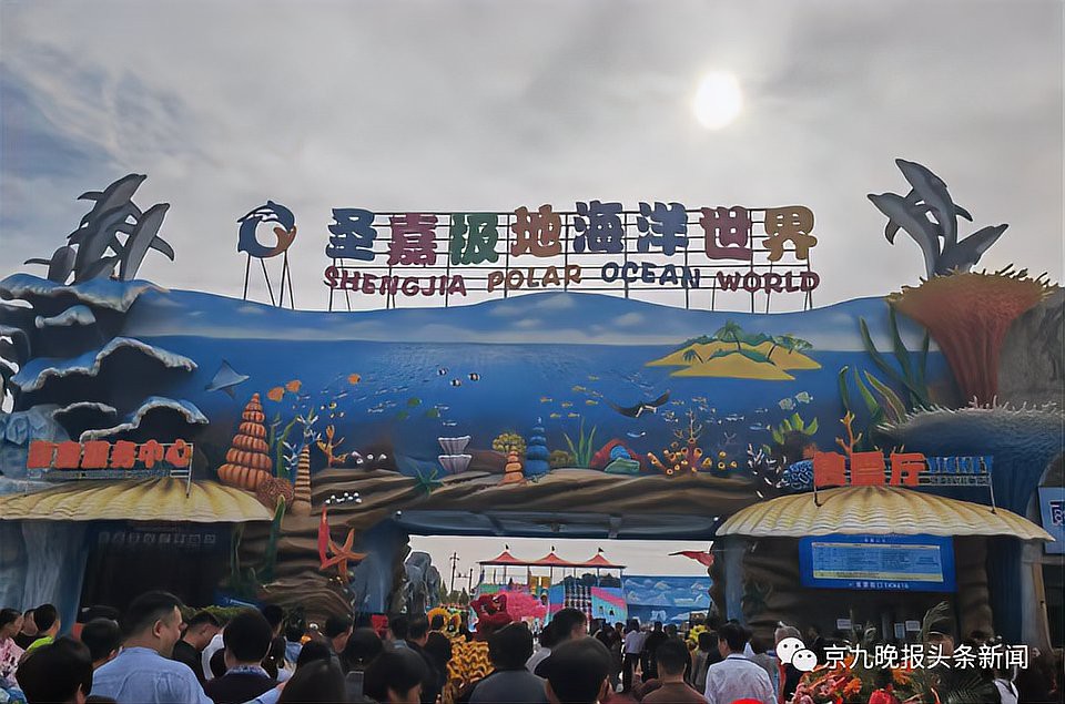 商丘水族店【商丘水族店哪家口碑最好】