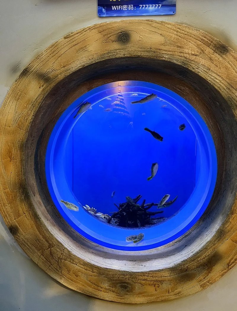 商丘水族店【商丘水族店哪家口碑最好】