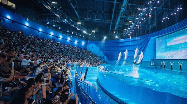 商丘水族店【商丘水族店哪家口碑最好】