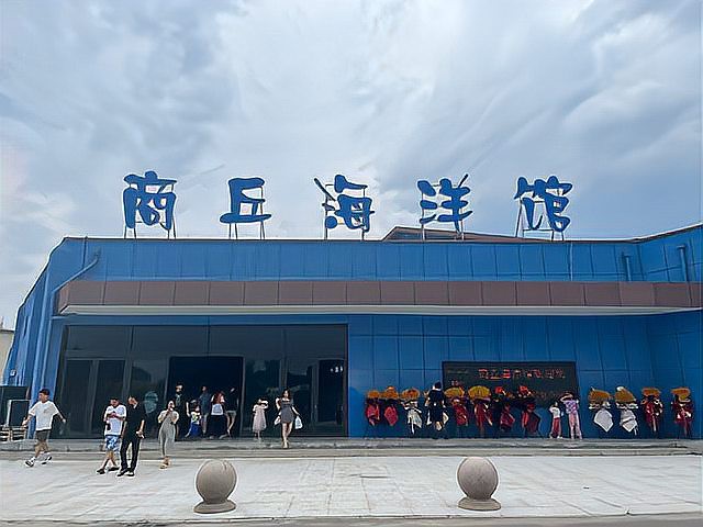 商丘水族店【商丘水族店哪家口碑最好】