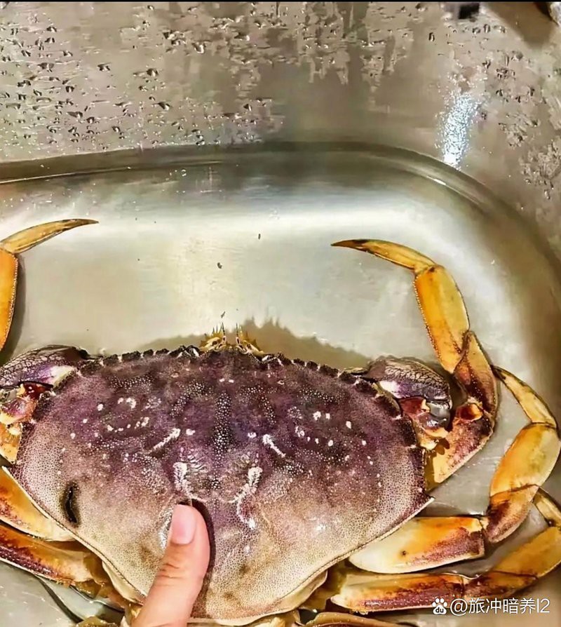 井岡山水族店【井岡山水族店有哪些品牌的水族箱井岡山水族店營業(yè)時間】