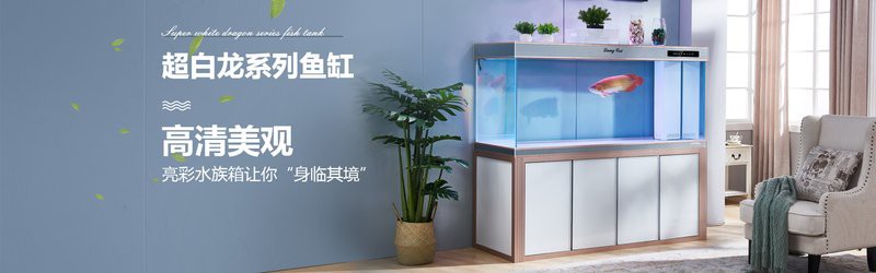 桂東水族店【東莞桂東水族店有哪些特色品種李明是如何經營西部水族市場的】