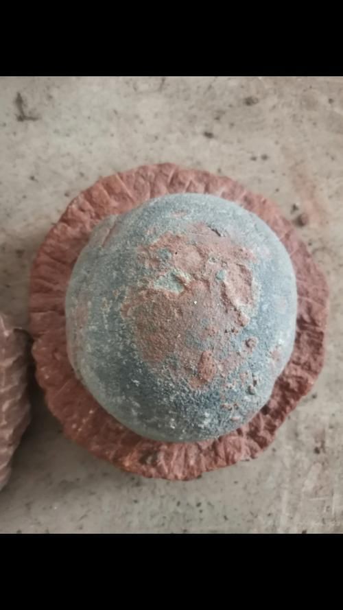 恐龍蛋真假對照圖【恐龍蛋化石怎么鑒定】