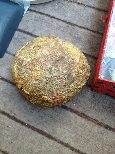 恐龍蛋真假對照圖【恐龍蛋化石怎么鑒定】