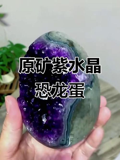 恐龍蛋真假對照圖【恐龍蛋化石怎么鑒定】