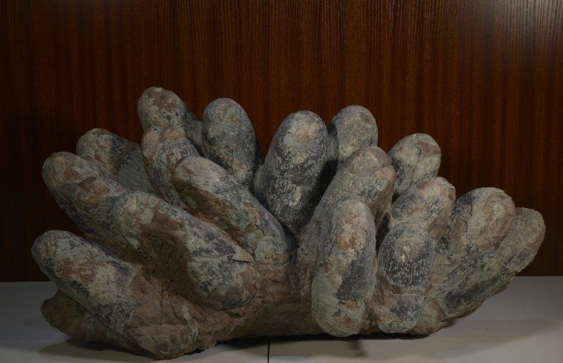 恐龍蛋真假對照圖【恐龍蛋化石怎么鑒定】
