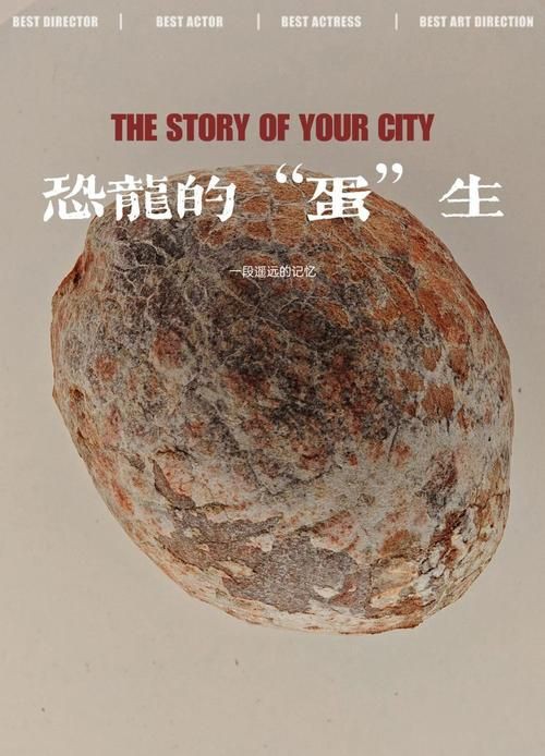 恐龍蛋真假對照圖【恐龍蛋化石怎么鑒定】