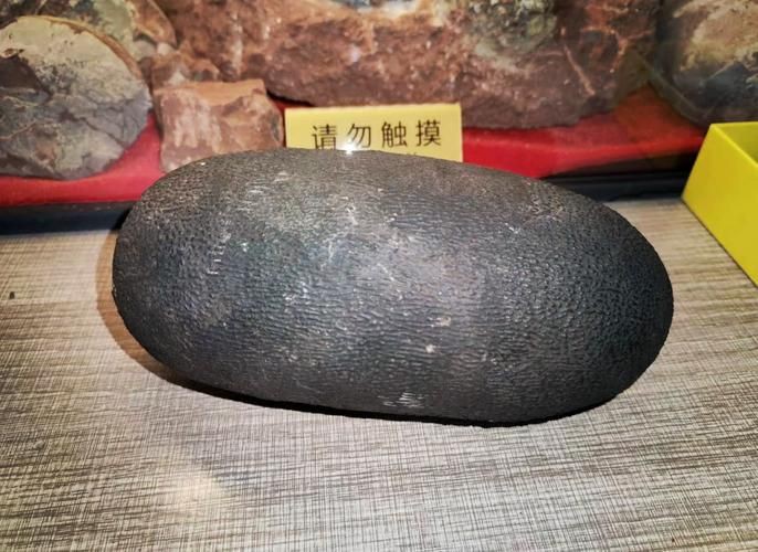 恐龍蛋真假對照圖【恐龍蛋化石怎么鑒定】