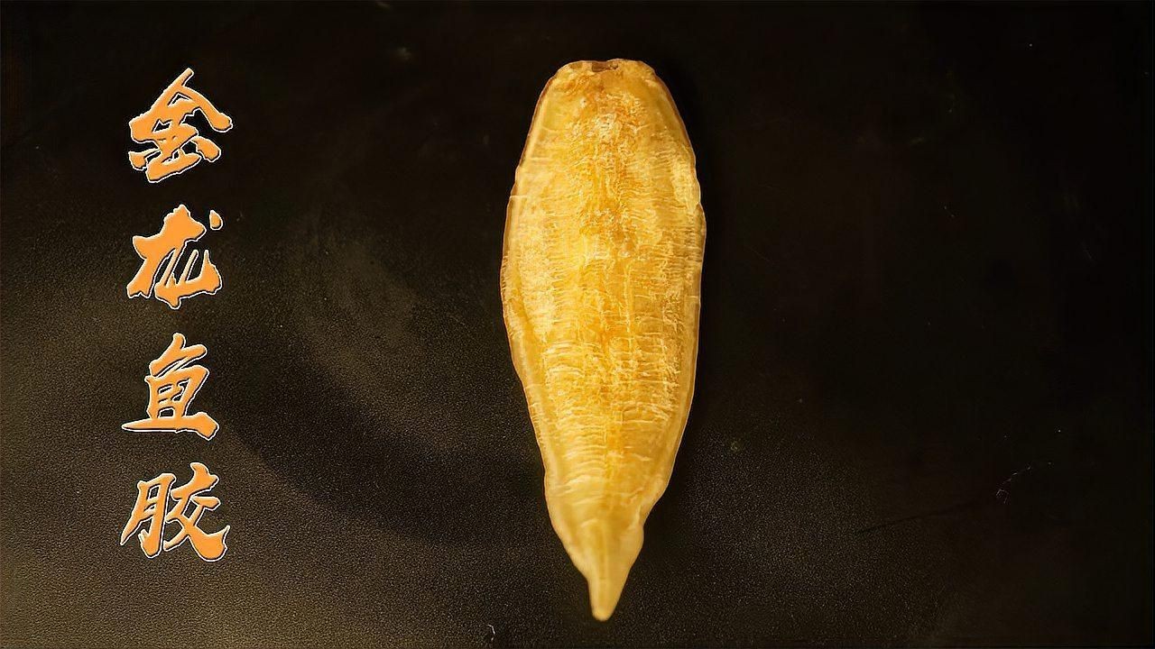 小金龍魚膠的吃法大全【小金龍魚膠怎么做？】