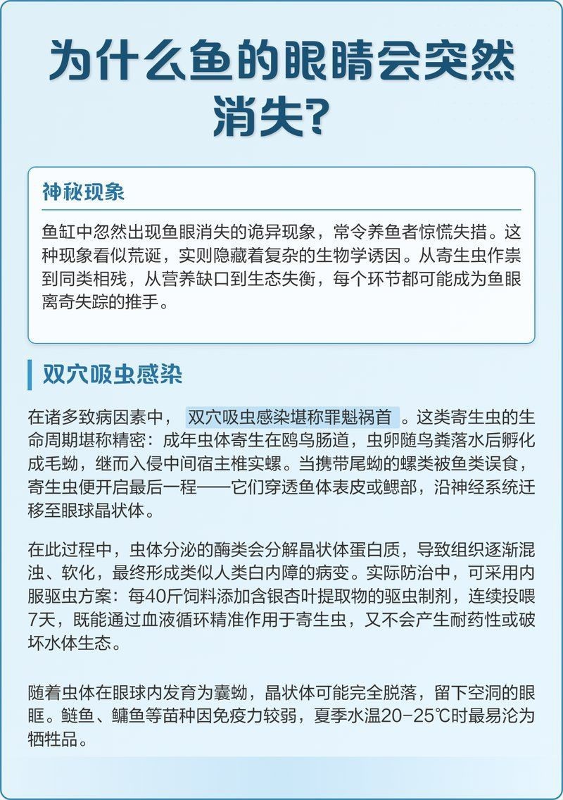 魚的眼睛掉了預示著什么【關于魚眼脫落的問題】