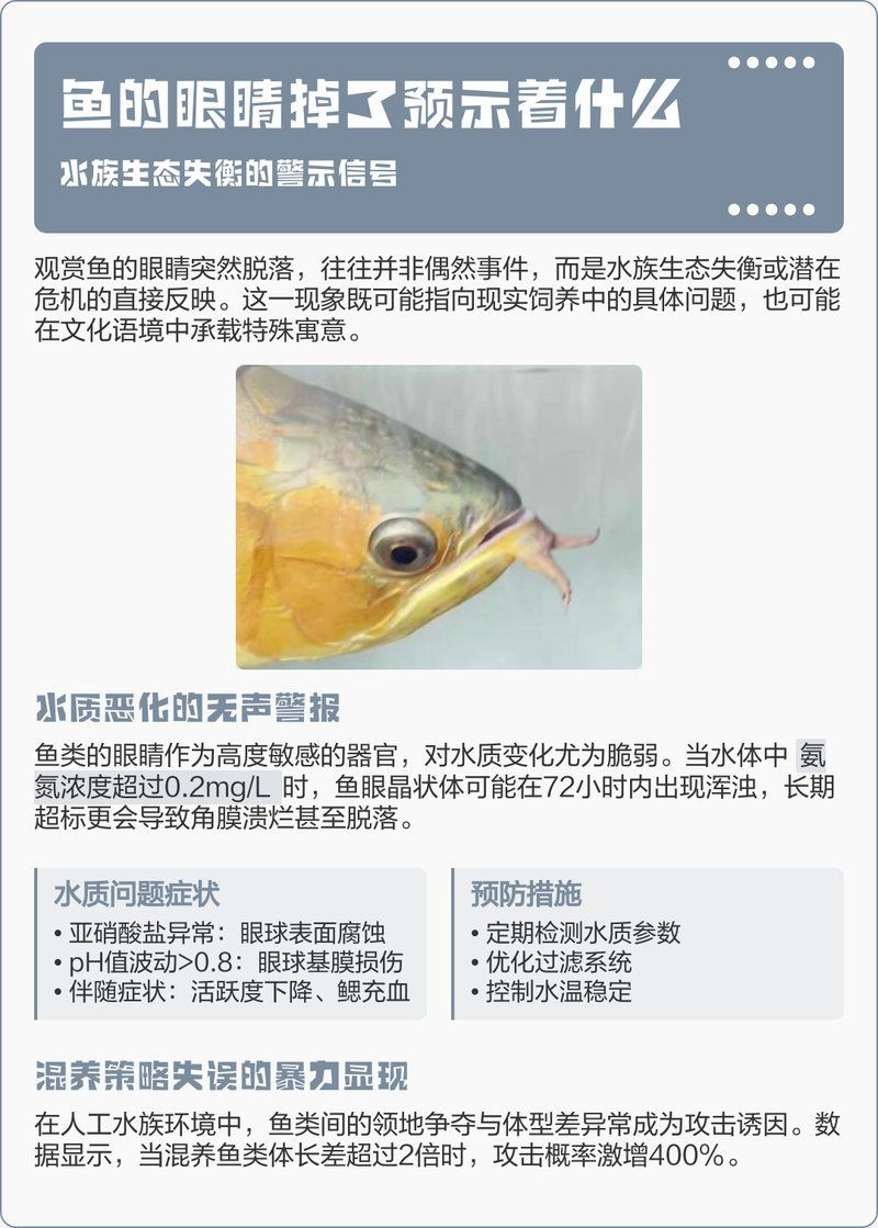 魚的眼睛掉了預示著什么【關于魚眼脫落的問題】