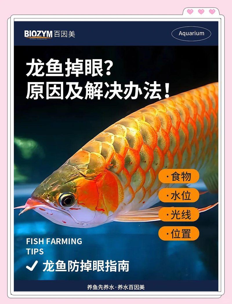 魚的眼睛掉了預(yù)示著什么【關(guān)于魚眼脫落的問題】