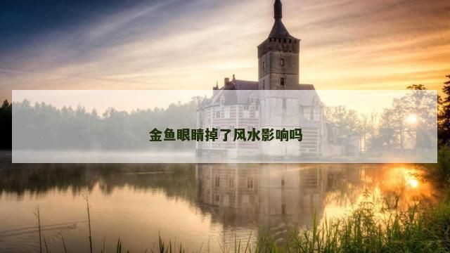 魚的眼睛掉了預(yù)示著什么【關(guān)于魚眼脫落的問題】