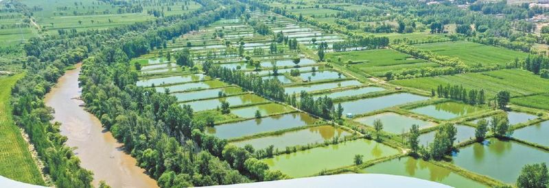 榆陽區龍魚店【榆林市榆陽區龍魚市場】