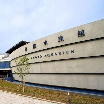 日土水族店【別人家的水族店介紹一下】