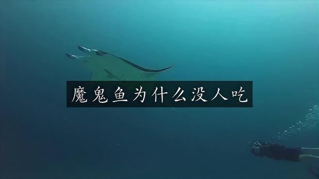魔鬼魚為啥不建議吃【《魔鬼魚為啥不建議吃》】
