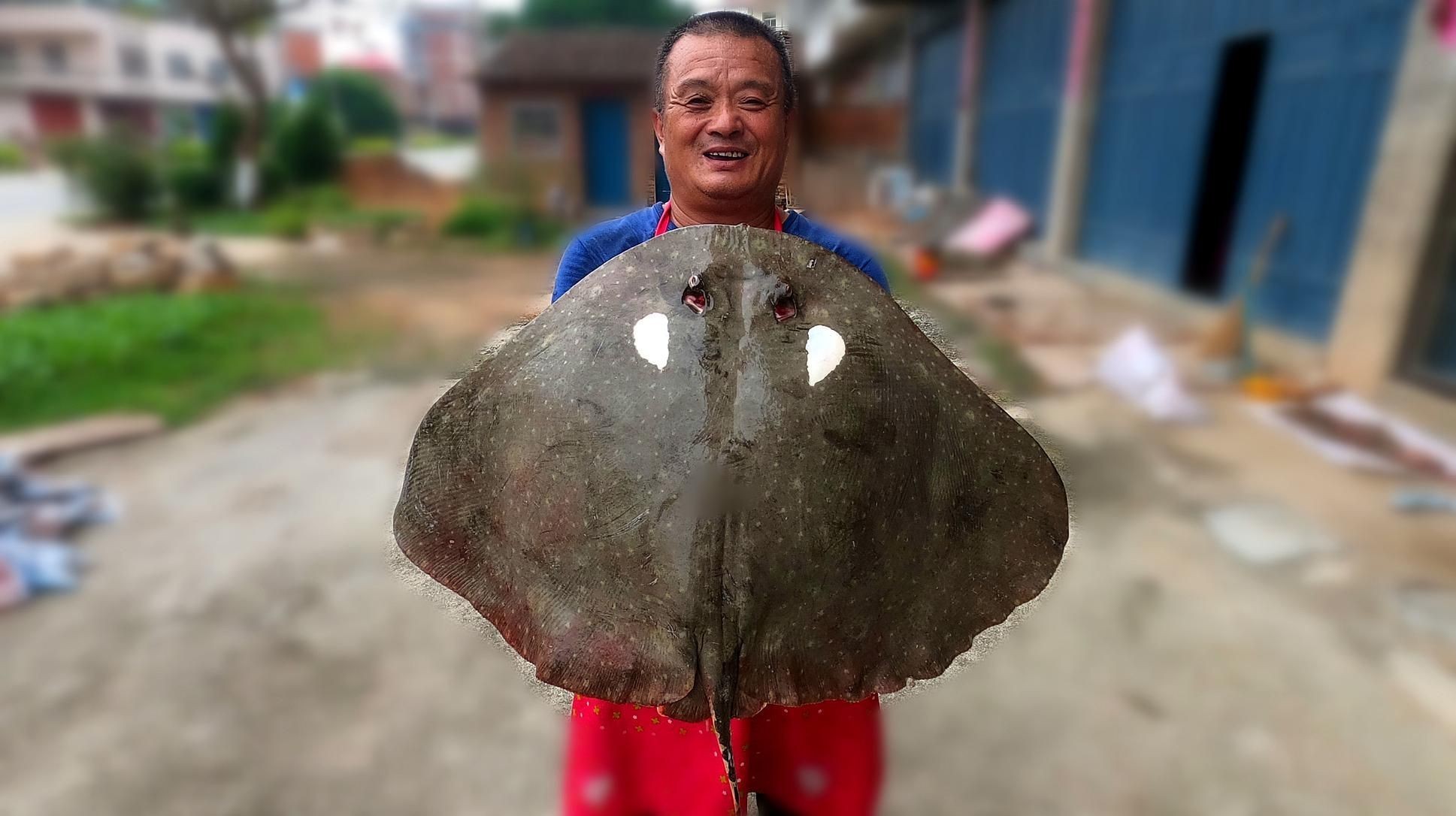 魔鬼魚為啥不建議吃【《魔鬼魚為啥不建議吃》】