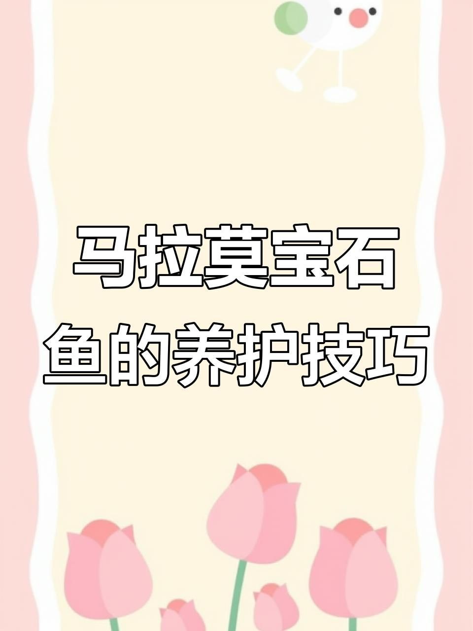 馬拉莫寶石好養嗎【探秘馬達島寶藏,馬拉莫魚之美】