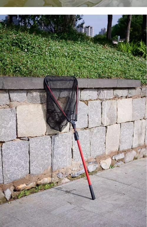 撈魚網(wǎng)兜的照片大全【京東魚缸網(wǎng)撈品牌排行榜京東魚缸網(wǎng)撈品牌排行榜】