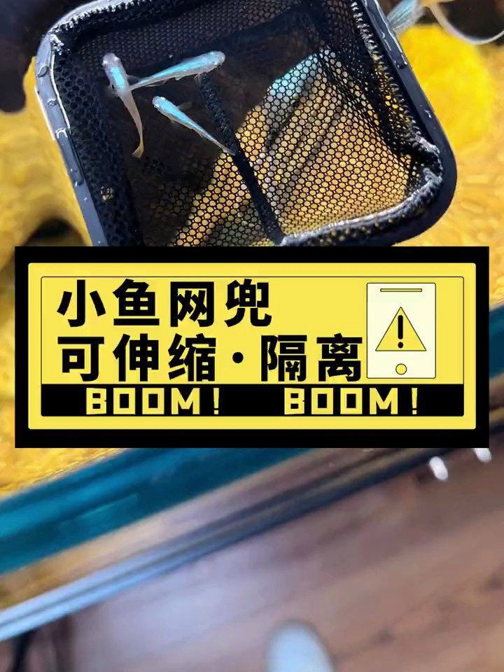 撈魚網(wǎng)兜的照片大全【京東魚缸網(wǎng)撈品牌排行榜京東魚缸網(wǎng)撈品牌排行榜】