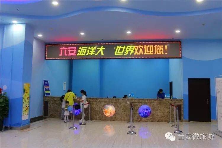 六安水族店【六安市哪家水族店比較好】